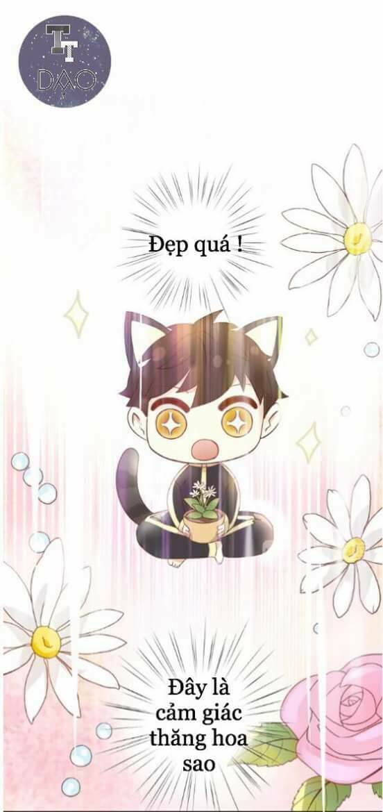 dưới móng vuốt mèo chapter 2 35