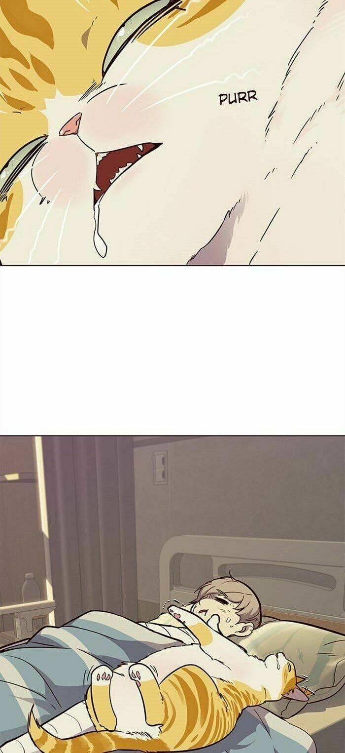 biến thân thành mèo chapter 30 66