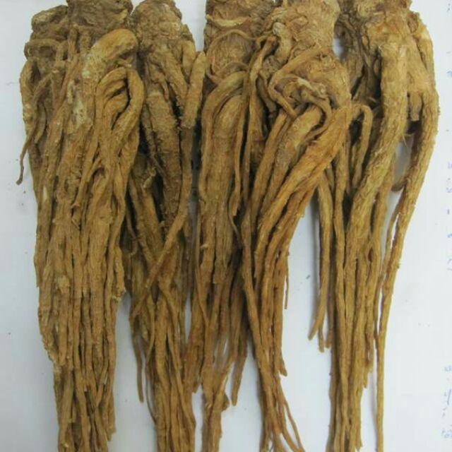 1 BỊCH SÂM ĐƯƠNG QUY KHÔ