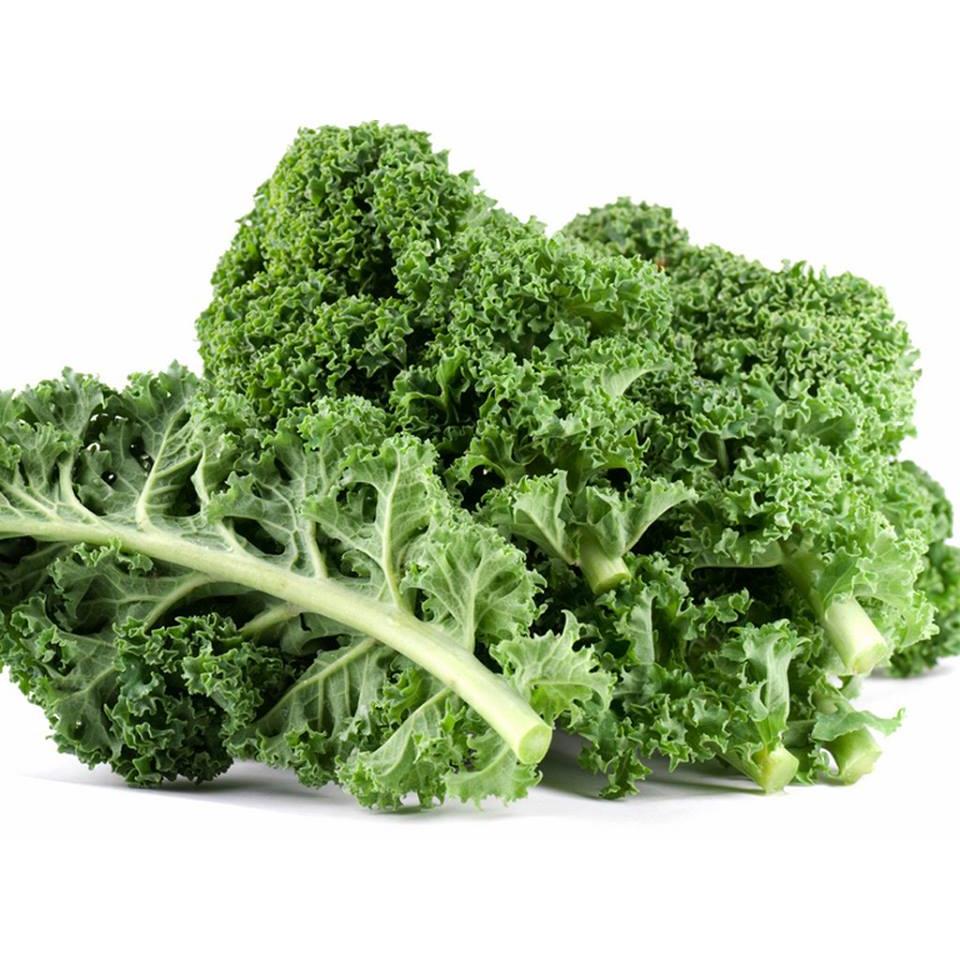 Hạt Giống Rau Cải Xoăn Xanh  -