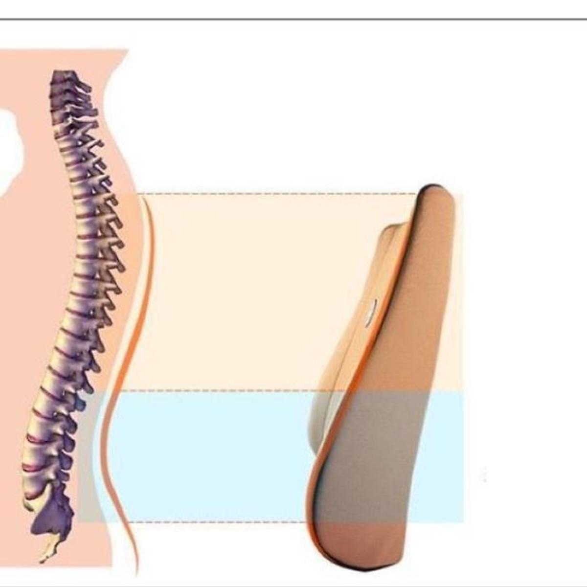 Bộ tựa đầu tựa lưng cao su non nguyên khối - bộ gối đầu tựa lưng trên ô tô - Chỉ tựa đầu