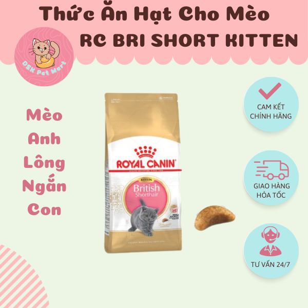 Royal Canin British Shorthair Kitten - Thức Ăn Hạt Cho Mèo Con Giống Anh Lông Ngắn