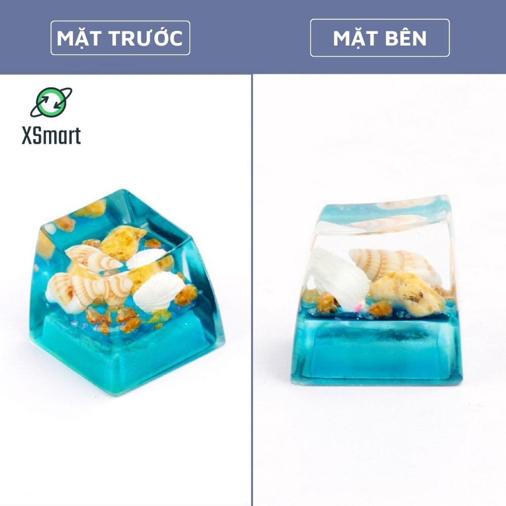 Keycap Nút Bàn Phím Ốc Đại Dương Tự Nhiên Thủ Công Cực Đẹp Nhựa Resin Trong Suốt Xuyên LED-Hàng Chính Hãng