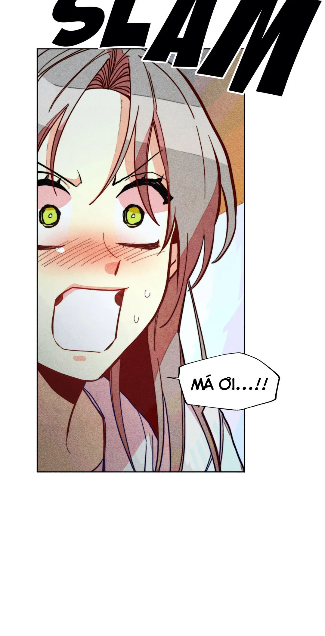 phù thuỷ trinh trắng tuổi 30 chapter 93.2 4