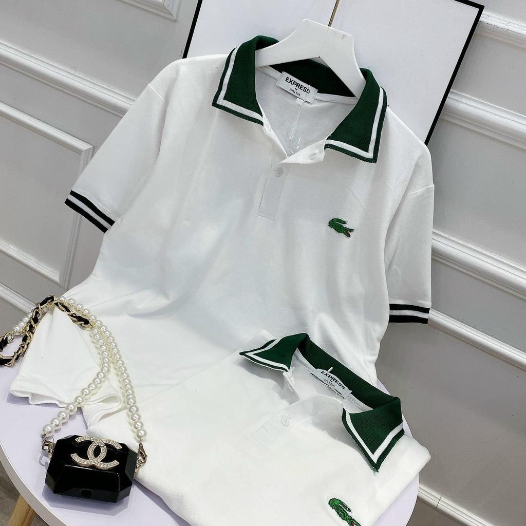 Áo polo nữ phông cộc tay, vải cotton mềm mát co giãn thiết kế size SML màu trắng phối cổ xanh
