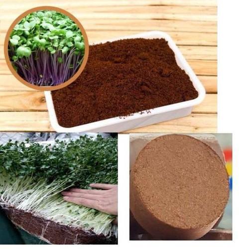 Thùng 24 Viên Đất Nén Hữu Cơ Viên Nén Mụn Dừa Bánh Nén Xơ Dừa 450Gr Ươm Hạt Giống Rau Củ Quả, Trồng Rau, Cây Cảnh