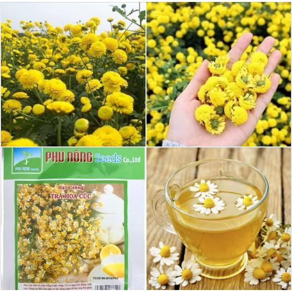Hạt Giống Trà Hoa Cúc Phú Nông - 3gr/gói