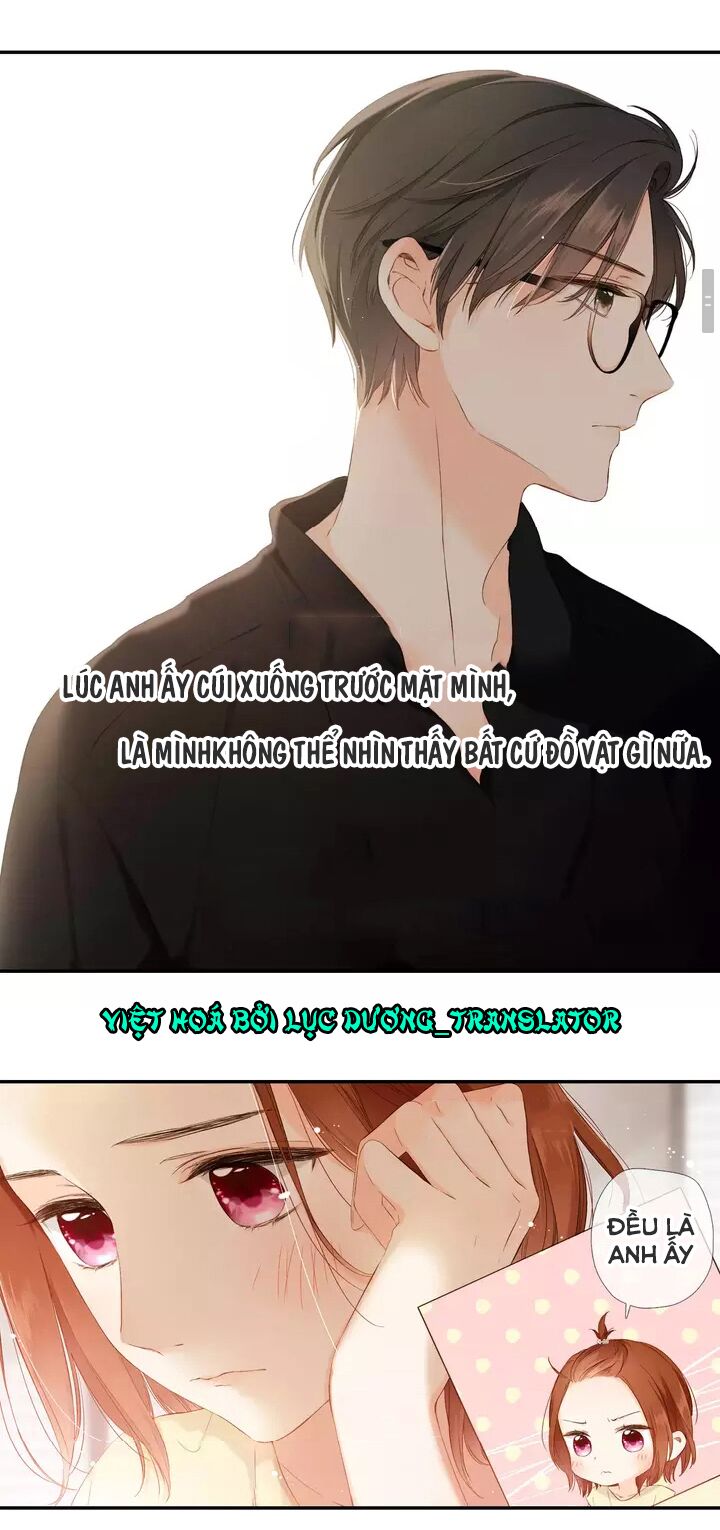 Tình yêu là màu hoa anh thảo chapter 33.1 10