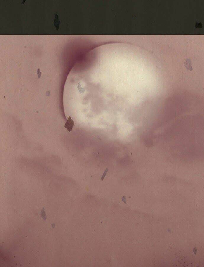 in full bloom chapter 1 35