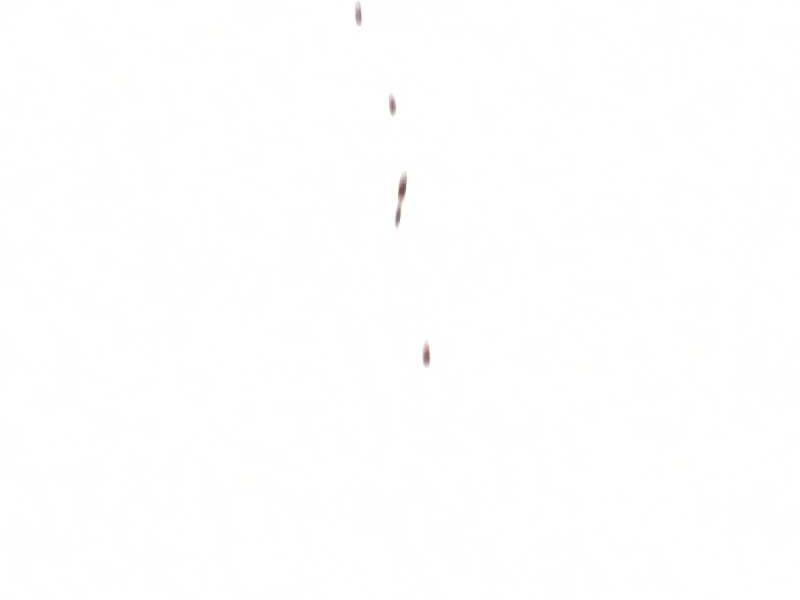 image 208