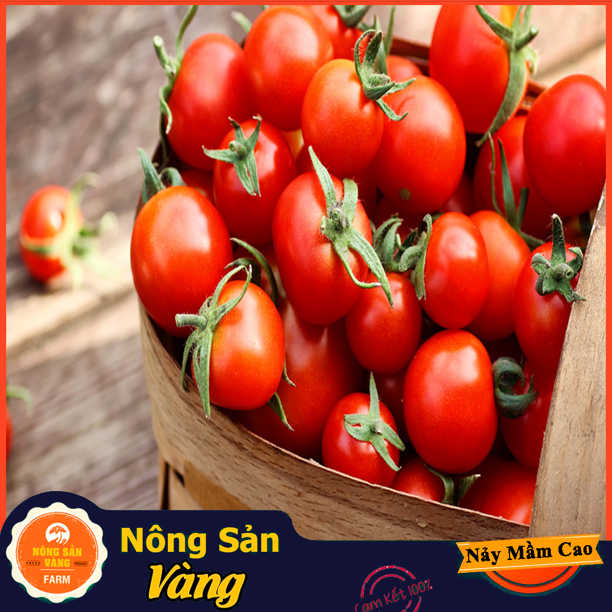 Hạt giống Cà Chua Cherry Đỏ ( Gói 20 hạt ) - Nông Sản Vàng