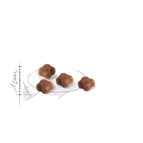 Royal Canin Hạt Mèo Mother & Baby Cat 2kg [