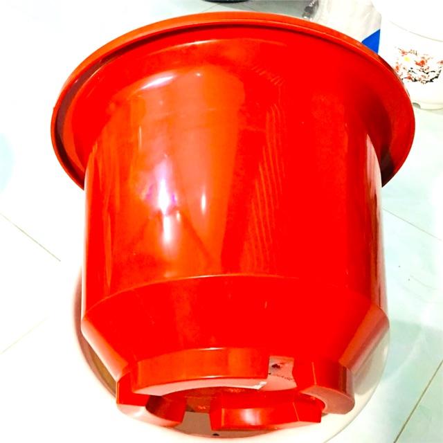 Chậu Nhưa Trồng Cây - Chậu Tròn Vành có chân Cao - Rất Dày, Dẻo