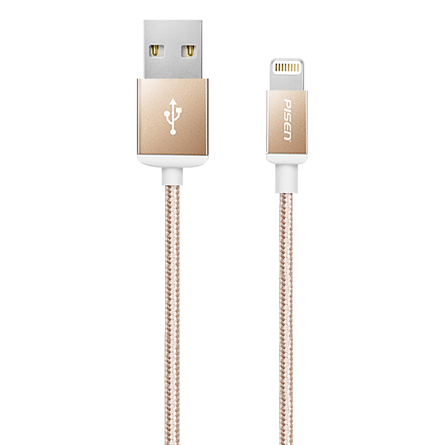 Dây Cáp Pisen Cable Lightning Double Sided USB (1m) - Hàng Chính Hãng