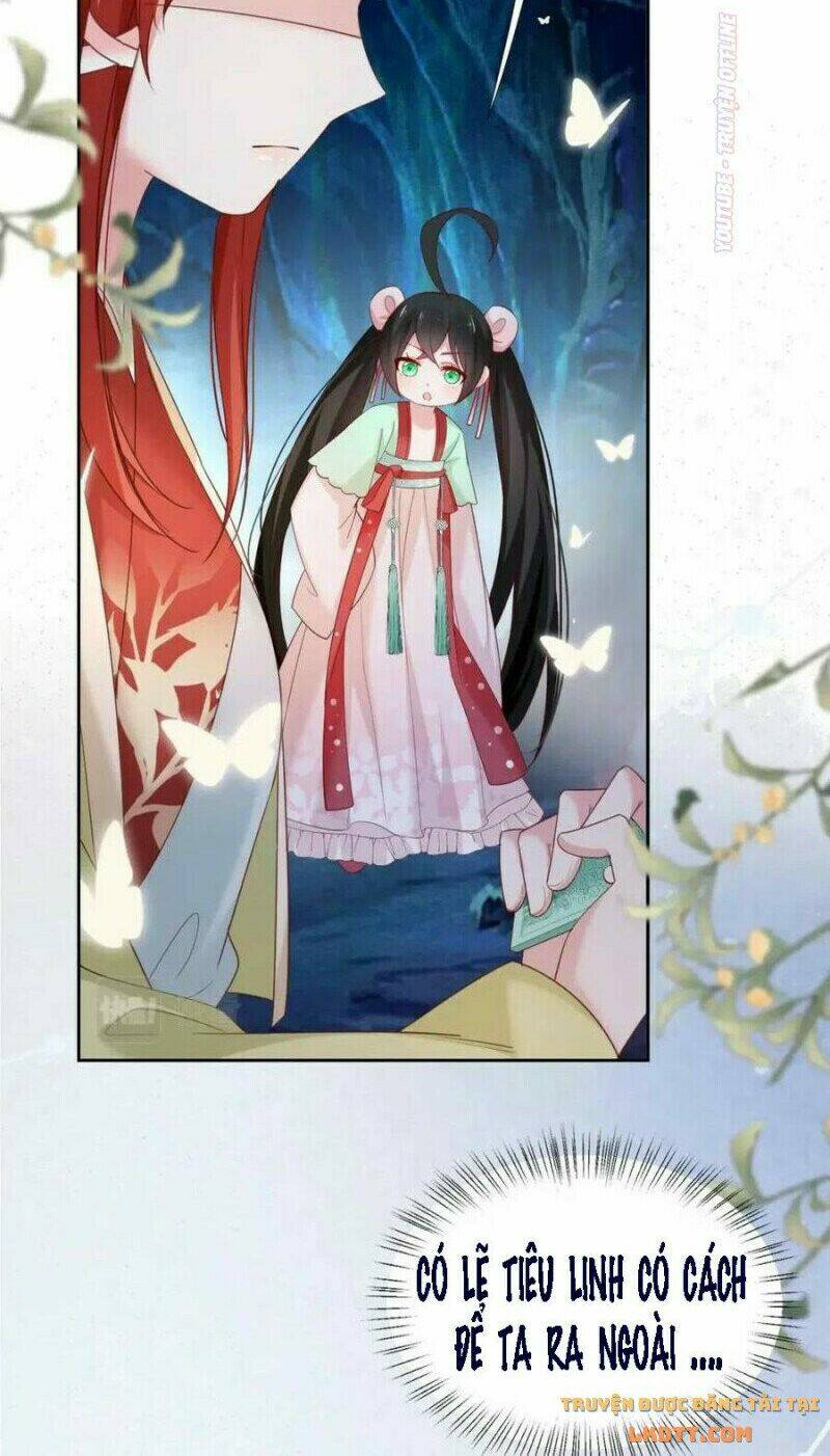 hắc hóa nam chính trực tuyến nuôi thỏ chapter 53 22