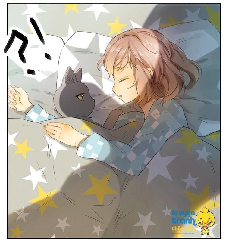 cứu mạng ! loài mèo thống trị thế giới rồi ! chapter 26 9