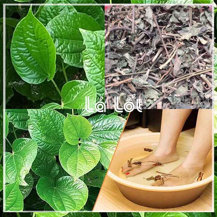 Cây Lá Lốt khô đóng gói 1kg