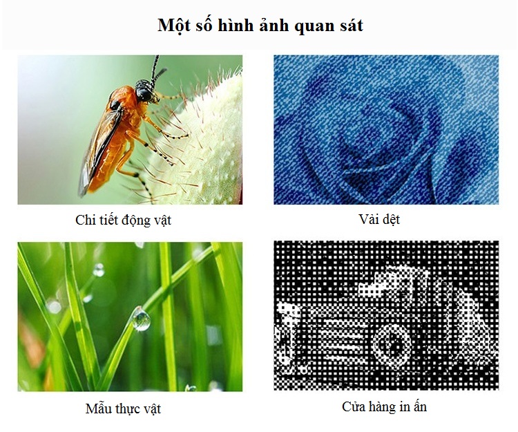 Kính hiển vi điện tử 50 ~ 1600X kết nối máy tính ~ ( Tặng 01 đèn pin mini trợ sáng màu ngẫu nhiên )