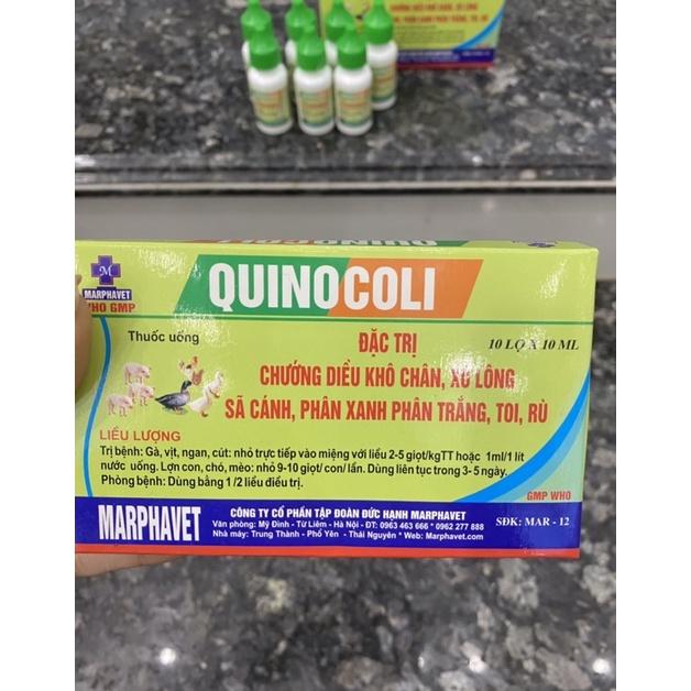 [THÚ Y] 1 lọ QUINOCOLI 10ml dùng cho gà vịt ngan