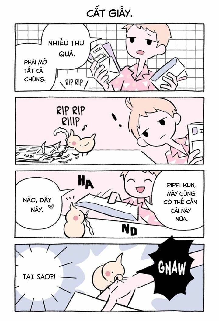 chú mèo kỳ diệu kyuu-chan chapter 684 3