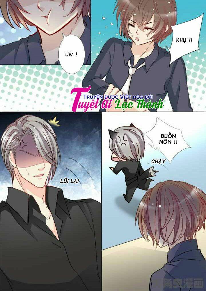 the stars are not luminous body chapter 103 5