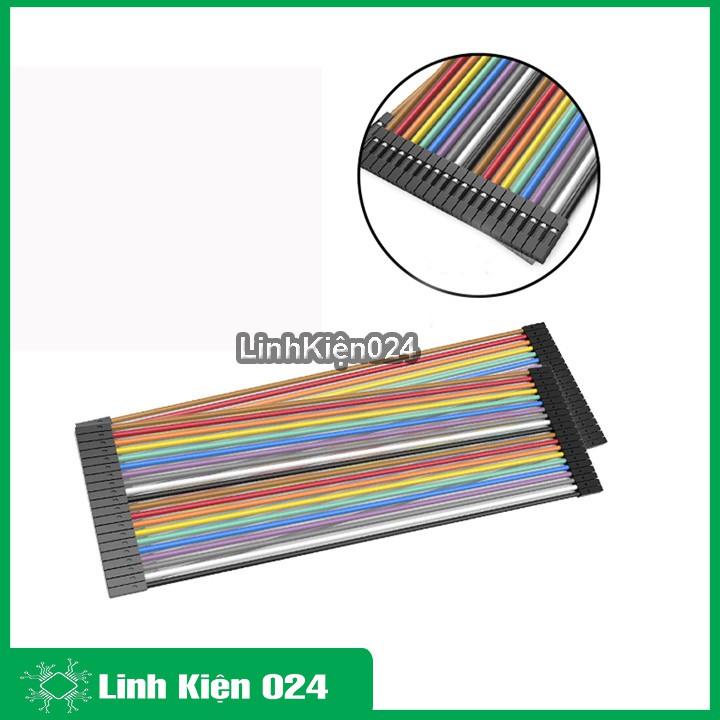 Tệp 40 Sợi Dây Nối 40P 21Cm Câu Mạch 2 Đầu Cái Cái