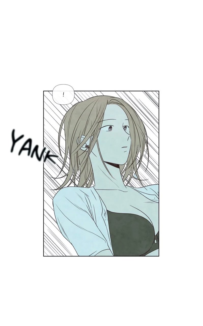 summer solstice point chapter 9 50