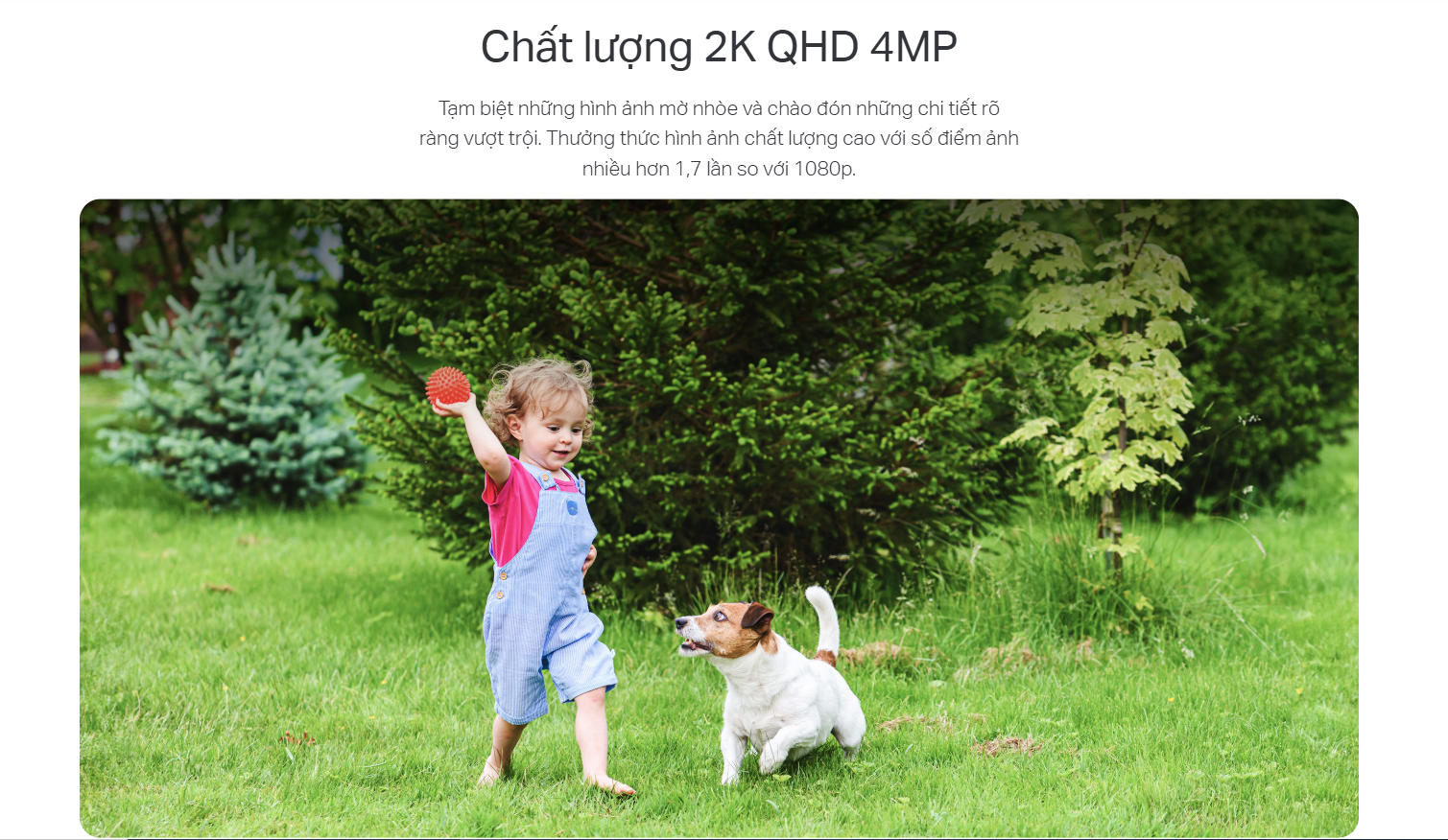 CAMERA WIFI NGOÀI TRỜI TAPO C425 KIT 4MP TẶNG KÈM PIN NĂNG LƯỢNG - CẢNH BÁO ĐÈN VÀ CÒI, TÙY CHỈNH VÙNG CHUYỂN ĐỘNG