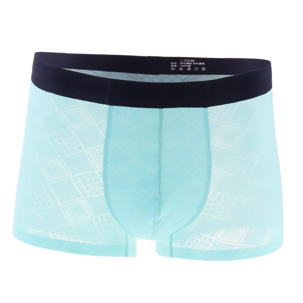 Mens Sexy Translucent Pouch Briefs Underwear Bulge Pouch Panties