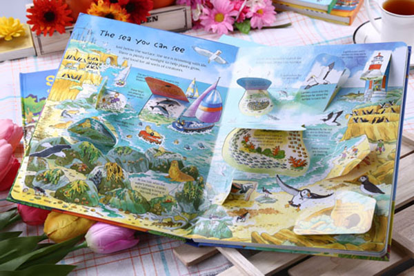 Usborne See Under the Sea