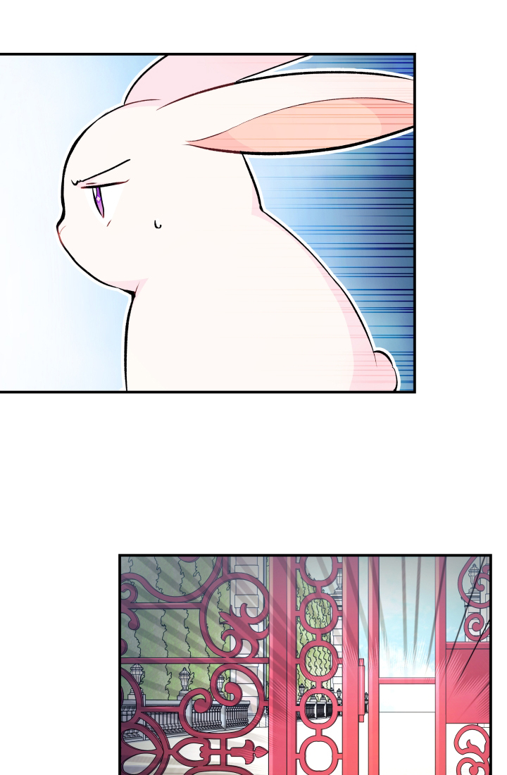 mối liên kết giữa báo đen và bé thỏ chapter 3 56