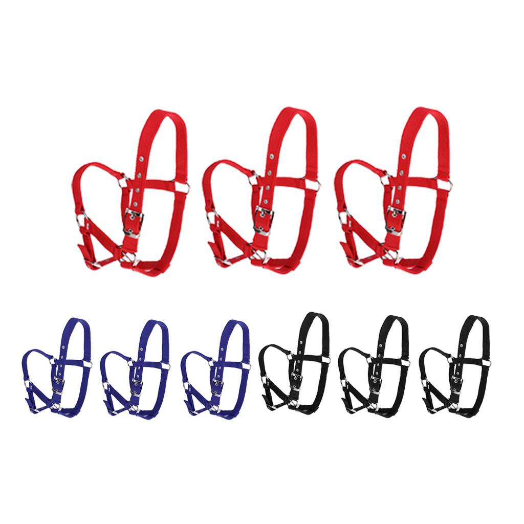 Adjustable Nylon Webbing Equestrian Western Horse Halter Horse Riding Wear Red S