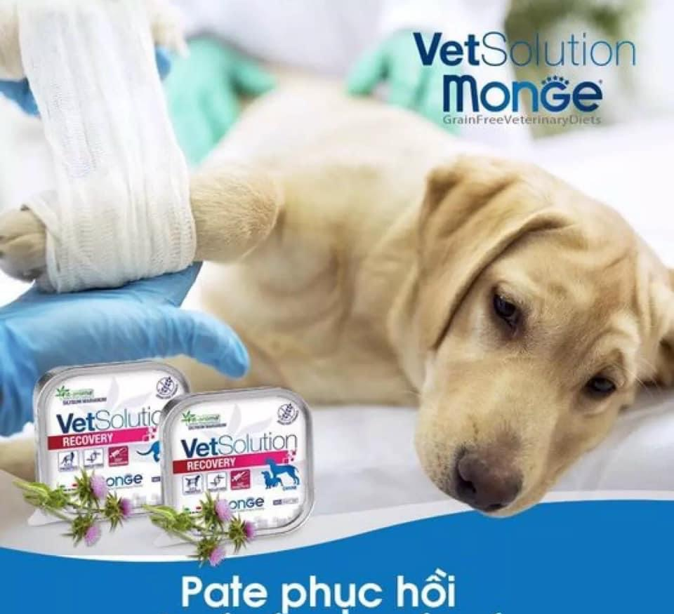 Pate phục hồi cho chó bệnh, bổ sung dinh dưỡng cao cấp (Monge, Ý)