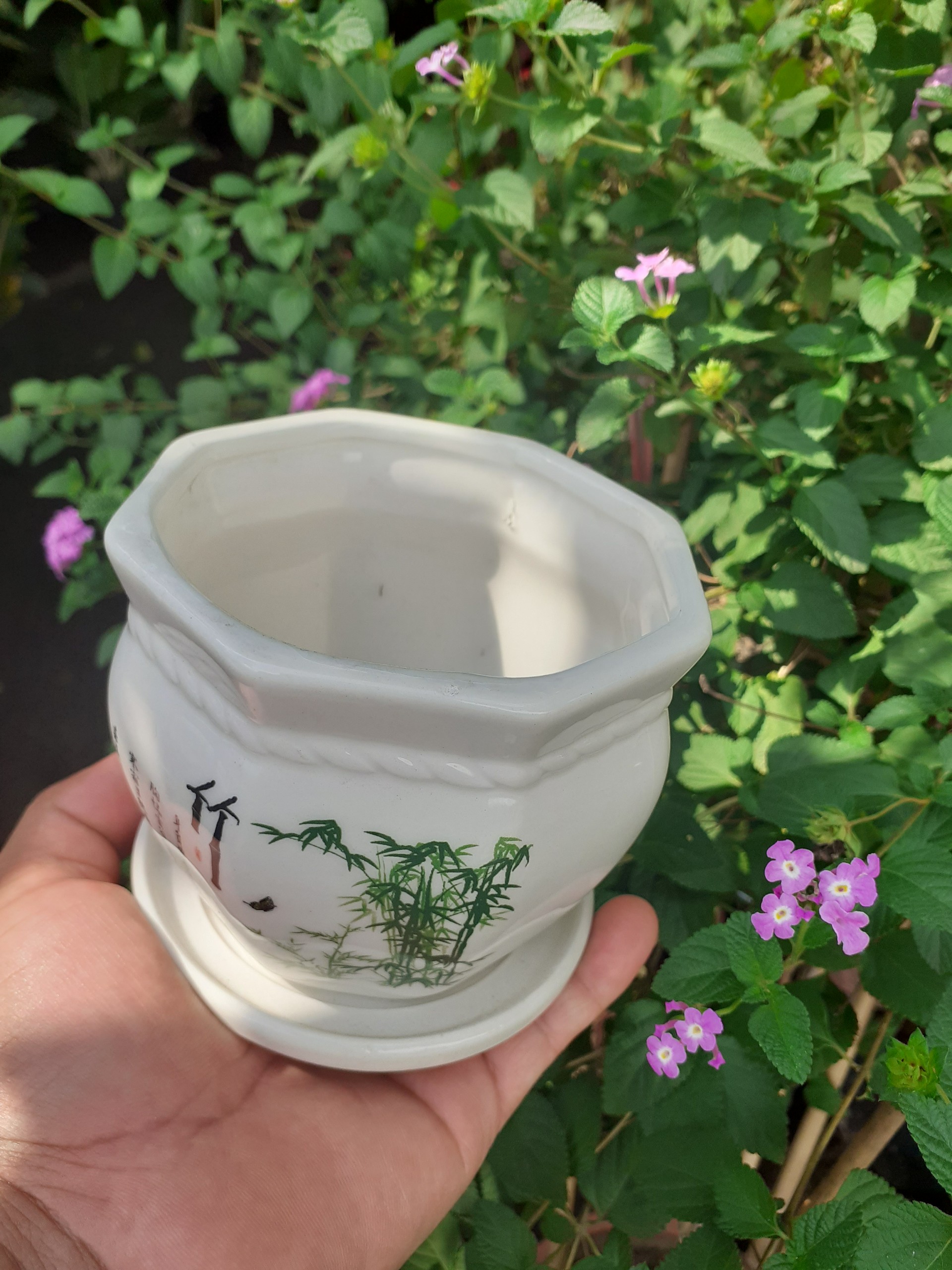 Chậu sứ kèm dĩa thơ thuỷ trúc bát giác đẹp tinh khiết