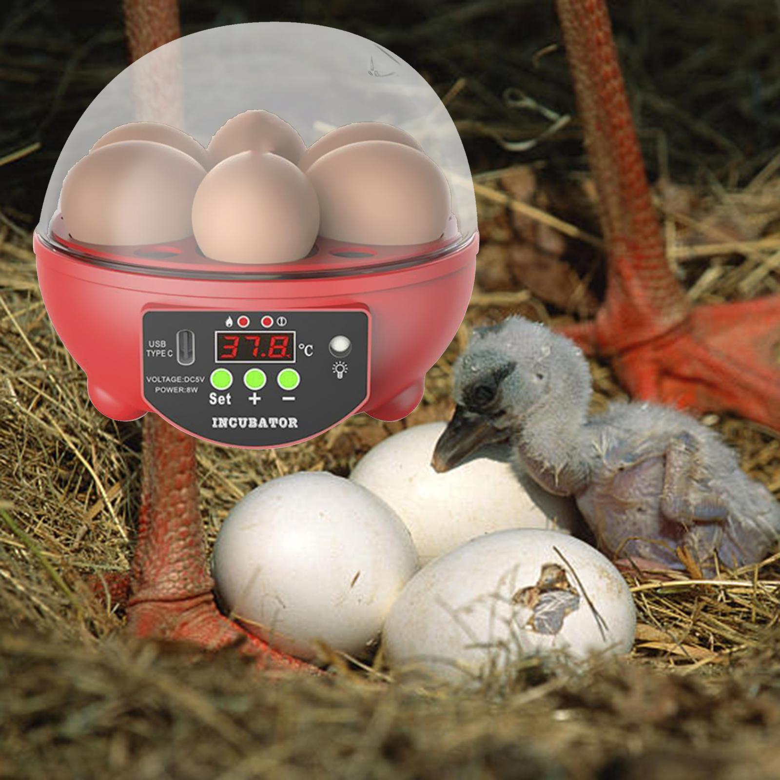 Mini Turning Temperature Control Red Automatic Red Automatic