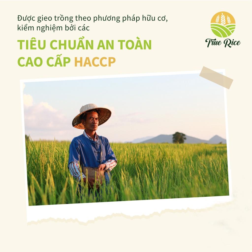 10kg Gạo tươi ST25 True Rice