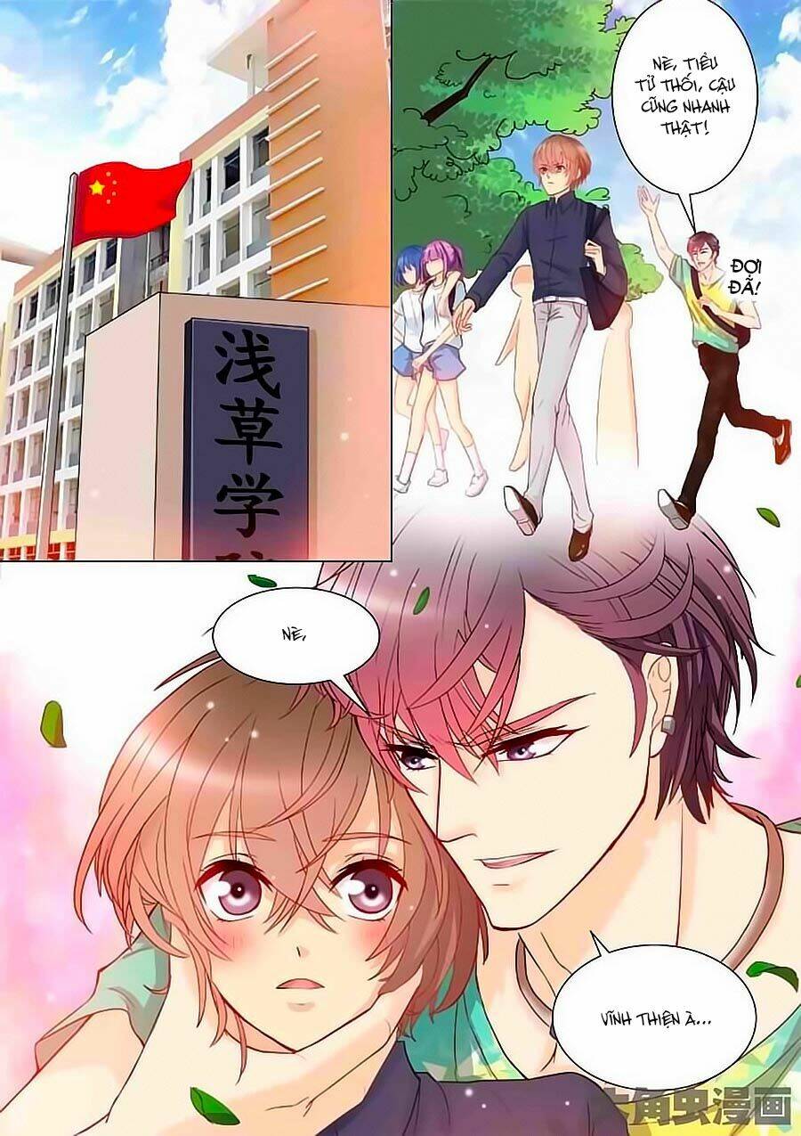 tinh tinh bất thị phát quang thể chapter 6 9