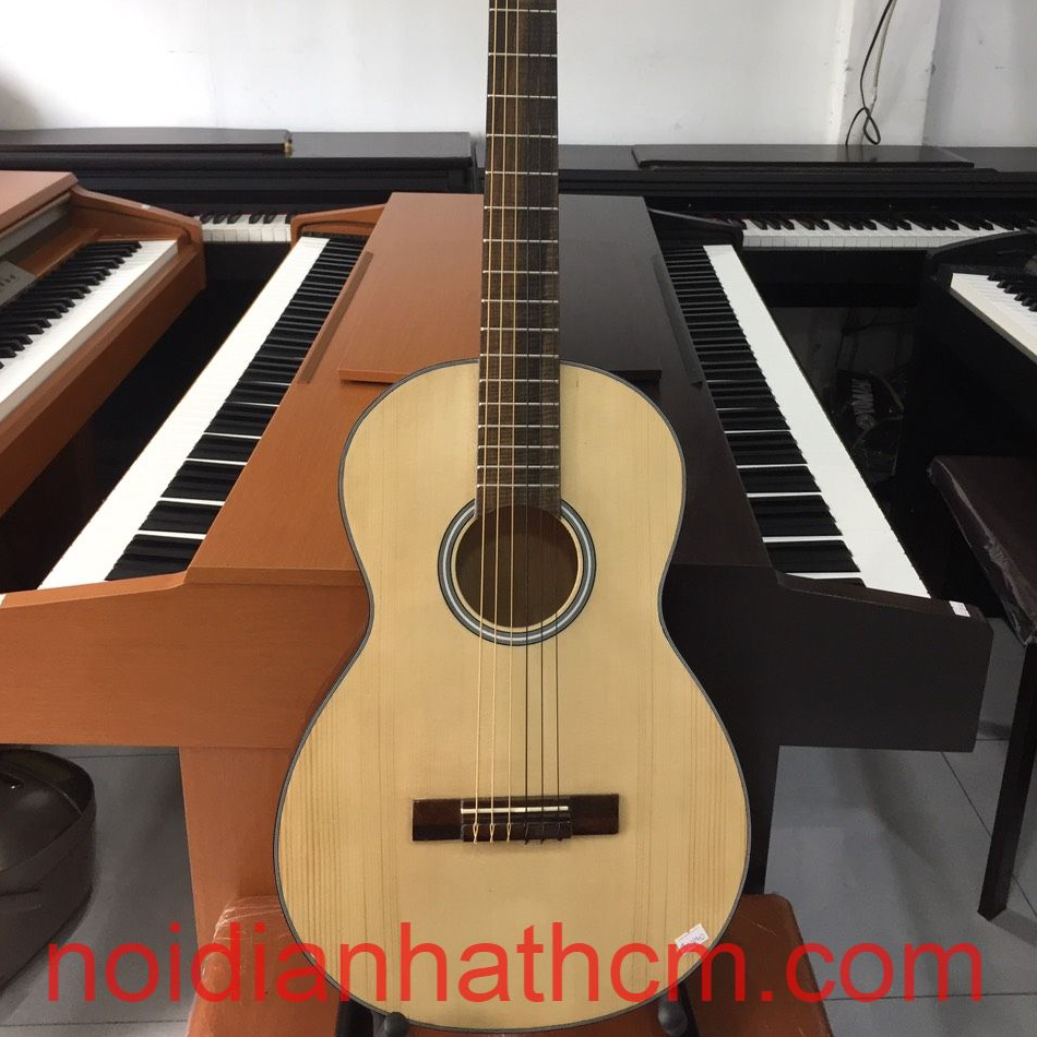 ĐÀN GUITAR VIỆT NAM