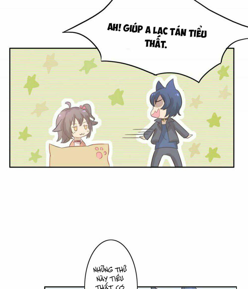 hai chú mèo totem chapter 1 37