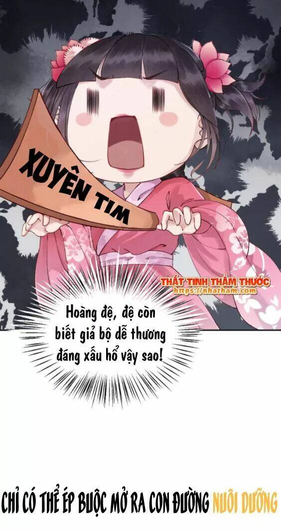 trọng sinh bá sủng nhiếp chính vương quá mạnh mẽ chapter 0 22