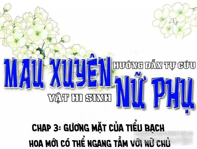 mau xuyên hướng dẫn tự cứu vật hi sinh nữ phụ chapter 3 1
