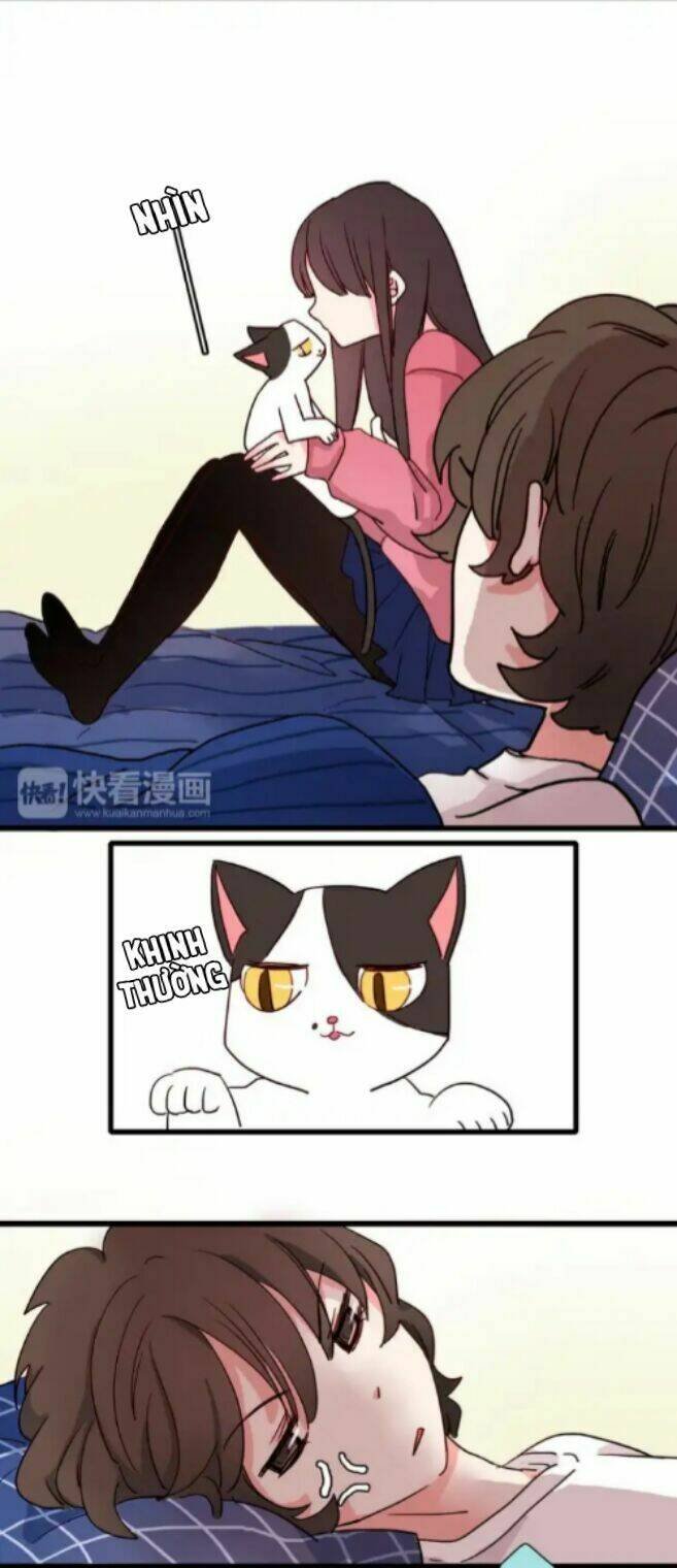 gấu nhỏ dư và thỏ thỏ hứa chapter 14 27