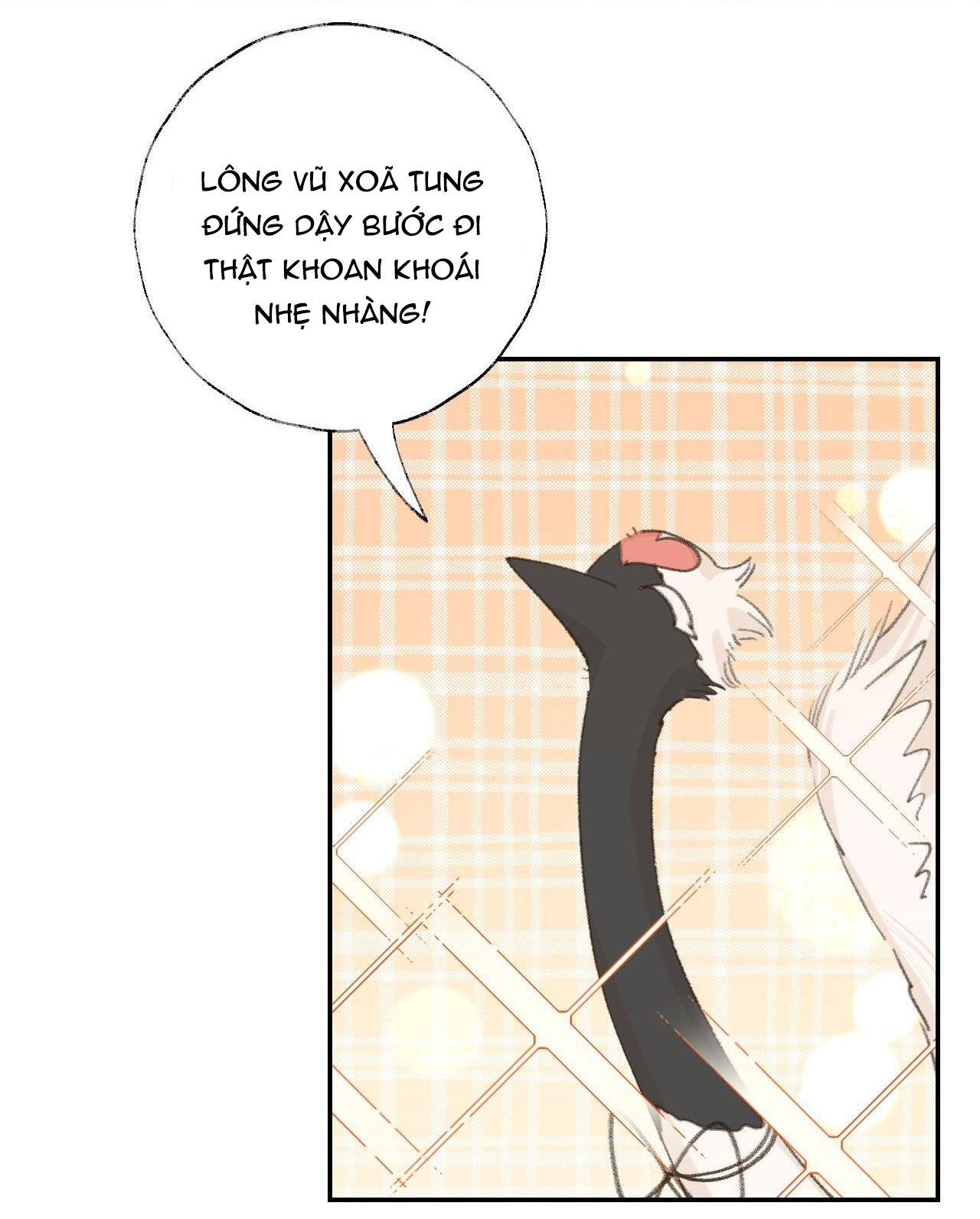 tôi lắng nghe thanh tôn chủ gọi chapter 18 6