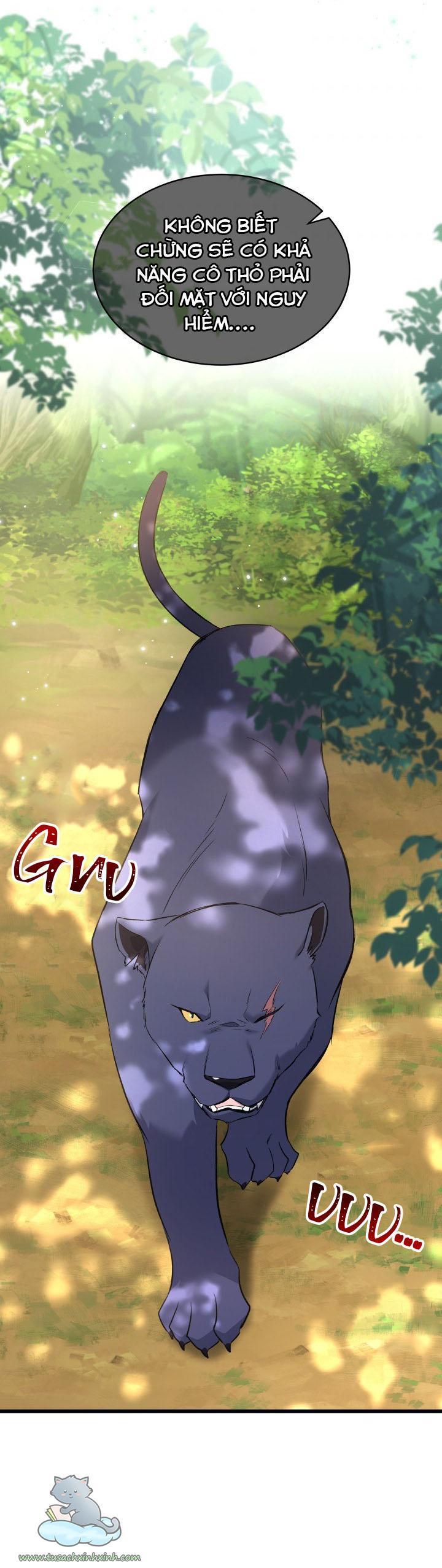 quan hệ cộng sinh giữa báo đen và thỏ trắng chapter 61 24