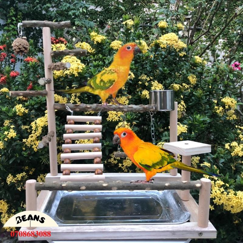 Cầu đứng gỗ dành cho chim, vẹt size nhỏ, size trung như lovebird, yến phụng, cock, sun, xích, ngực hồng,...