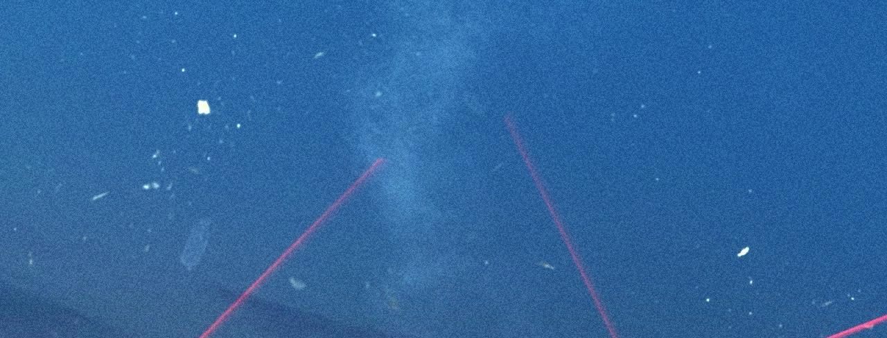 cây nấm nhỏ chapter 16.2 44