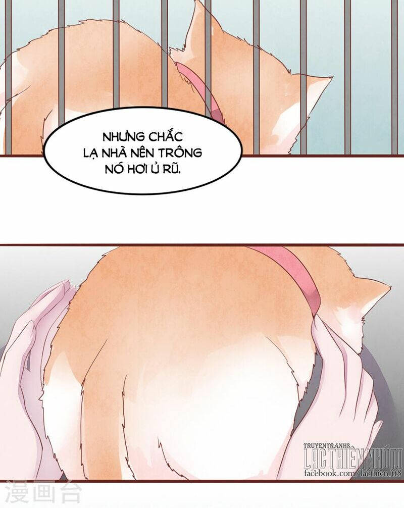 đào tạo nuôi dưỡng bạn trai mèo chapter 52 15