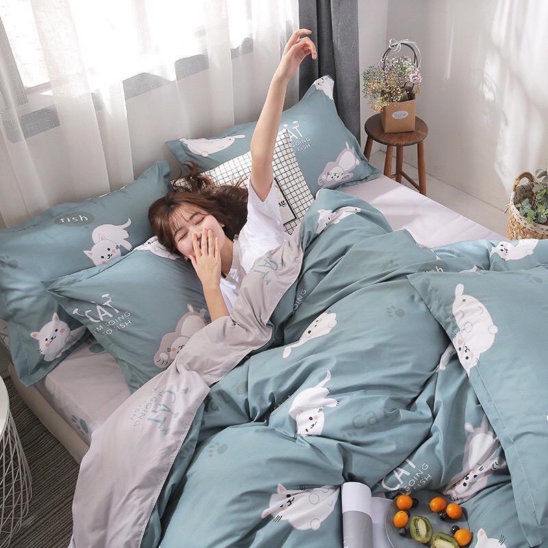Bộ chăn ga gối phong cách Hàn Quốc _ Mèo xanh