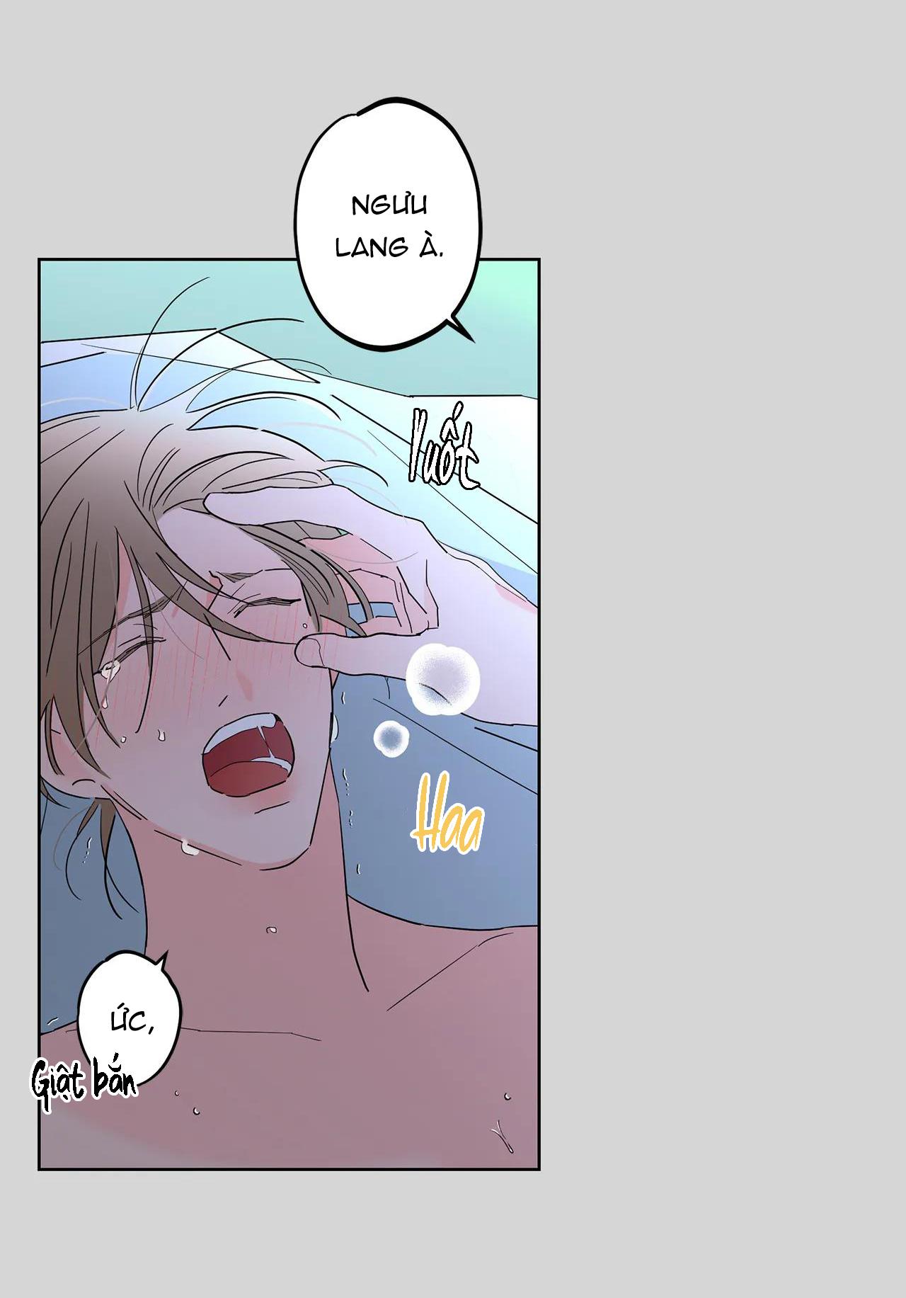 bl cổ trang - âu cổ ngắn nhà kim chapter 12.2 29