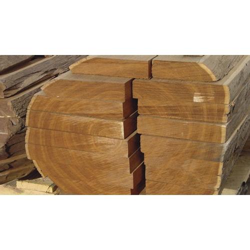 CÂY GIỐNG CÂY GIA TỴ .